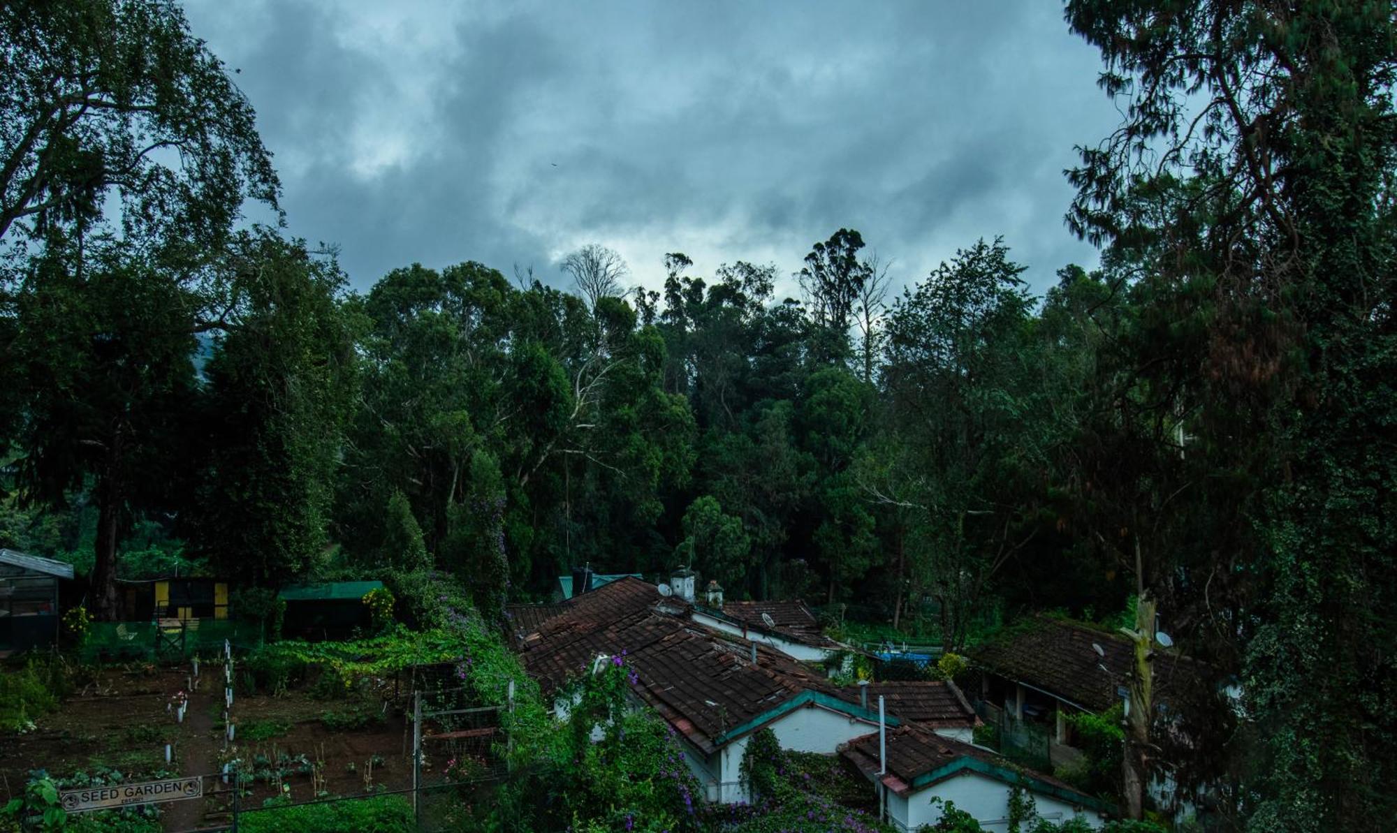 Treebo Kodai Kings Park, 650 M From Kodai Lake Кодайканал Экстерьер фото